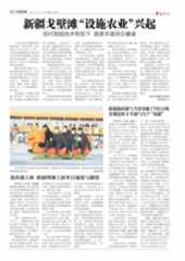 新疆戈壁滩“设施农业”兴起