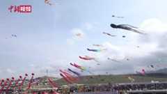 新疆乌鲁木齐：上千只风筝在天空翱翔