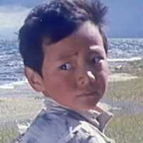曲吉