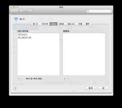 配置dns