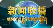 གསར་འགྱུར་མཉམ་སྒྲོག ༼ ཧྲིལ་བོ ༽