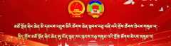 རང་ཞིང་གི་ཚོགས་ཆེན་གཉིས།
