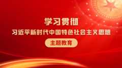 学习贯彻习近平新时代中国特色社会主义思想主题教育