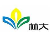 林大美缝剂