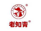 老知青山茶油