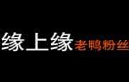 缘上缘老鸭粉丝
