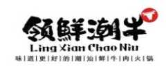 领鲜牛肉火锅