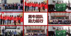 维拓水漆坚实团队