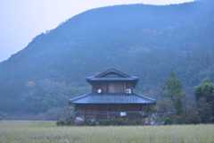 ホワイトバランス蛍光灯