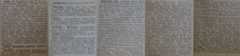 Berdichev in Business directory page 2, 1903