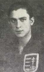 SÓLYOM (STOFIÁN) János 