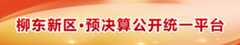 财政信息