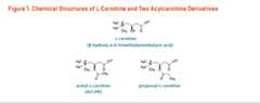 Figure 1. Chemical Structures of L-Carnitine (beta-hydroxy-gamma-N-trimethylaminobutyric acid) and Two Acylcarnitine Derivatives, acetyl-L-carnitine (ALCAR) and propionyl-L-carnitine.