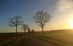 Paysage d'hiver route de Dijon
