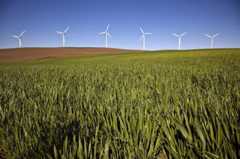 wind farm two.JPG