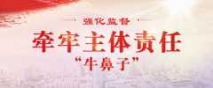强化监督 牵牢主体责任“牛鼻子”
