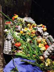 Trader Joe's Dumpster Trader Joe's Dumpster