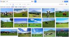 Google search result for 「牧場」 Google search result for 「牧場」