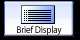 Brief Display