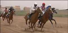 Horse racing in Baghdad