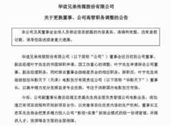 葉寧辭任華誼兄弟 職業(yè)經(jīng)理人改革以失