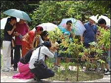 Tour group at Xishuangbanna Tropical Botanical Garden in China's Yunnan province