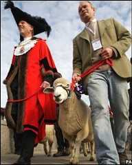 Sheep crossing London Bridge