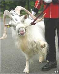 Billy on his retirement parade