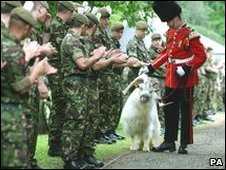 Billy being waved off by the regiment