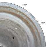 Polar projection of amateur images of Jupiter impact