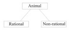 A box labeled 'Animal' has connector lines to two boxes underneath: one labeled 'Rational', the other labeled 'Non-rational'.