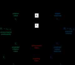 a complex diagram described in full in the next link