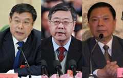 中央巡视组组长什么来头？