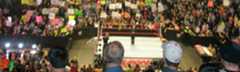 RawRingCrowd_Wide_2.png