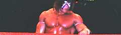 UltimateWarriorWK_wide2_8.jpg