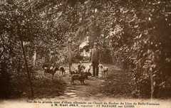 joly,belle-jardinière,karl-joly,rocher-du-lion,saint-nazaire,villes-martin