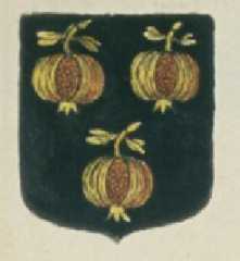 heinlex-pommeraye,grand-heinlex,saint-nazaire,iut