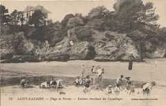 saint-nazaire,porcé,château,gustave bord,patrimoine,histoire