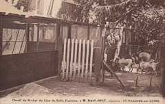 joly,belle-jardinière,karl-joly,rocher-du-lion,saint-nazaire,villes-martin