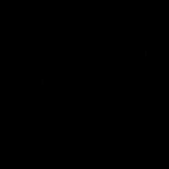 Rho93