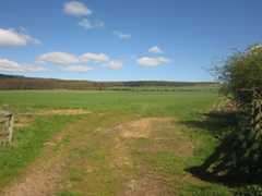 field