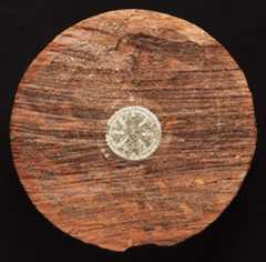SCP-8000%20shield