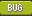 Bug