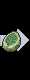 Use Leaf Stone