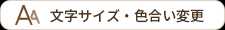 文字サイズ・色合い変更