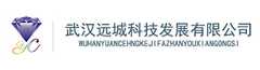 武汉远城科技发展有限公司