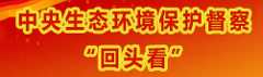 中央环保督察