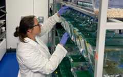 A photo of Dr Emma Kenyon in a lab. Dr Kenyon is wearing glasses and a white coat.