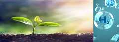 slideshow img 1