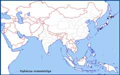 Global distribution of Hyloicus crassistriga. Map: © NHMUK.